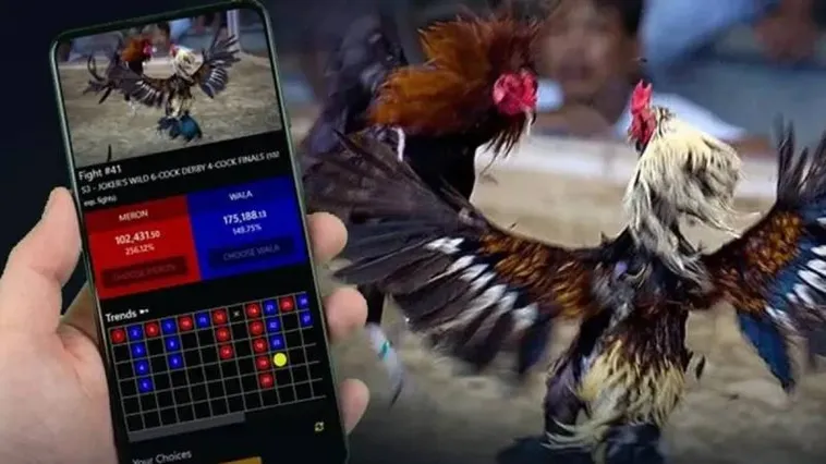 Thưởng Thức Đấu Trường Đá Gà Asia99 Sôi Động Và Đẳng Cấp 1 Thưởng Thức Đấu Trường Đá Gà Asia99 Sôi Động Và Đẳng Cấp